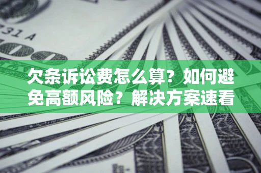 济南欠条诉讼费怎么算？如何避免高额风险？解决方案速看！