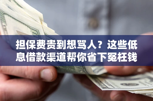 济南担保费贵到想骂人？这些低息借款渠道帮你省下冤枉钱