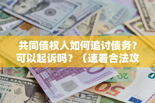 济南共同债权人如何追讨债务？可以起诉吗？（速看合法攻略）